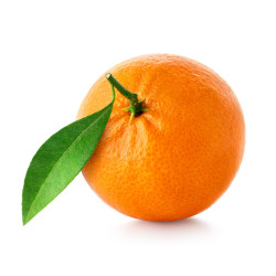 BIO ORANGE NEWHALL FEUILLE 12KG